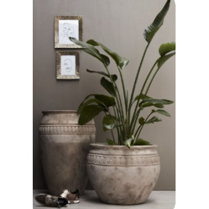 Plant Decore Pot