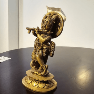 Elegant Idol Lord Krishna 
